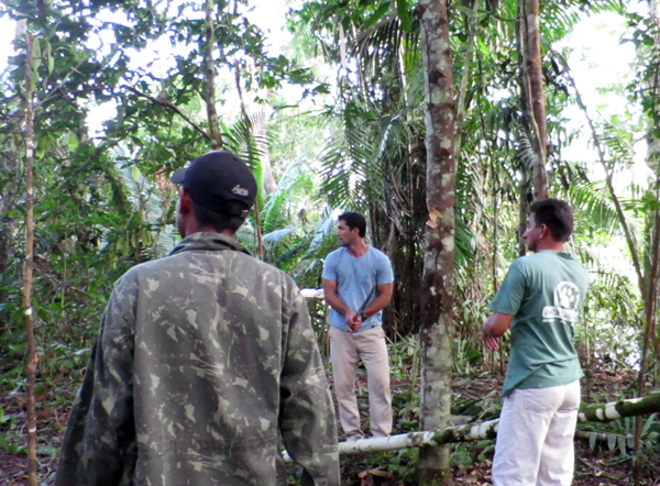 Amazon Rainforest Building Camp