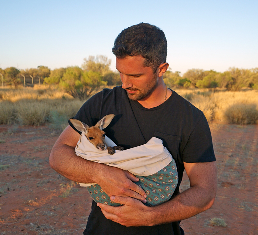 Baby Kangaroo at Kangaroo Sanctuary
