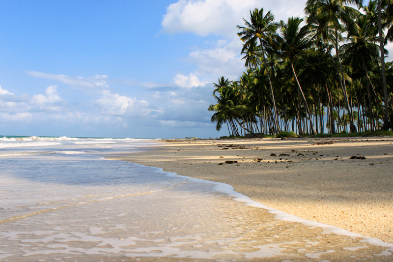 Best Beaches in Northeastern Brazil - Praia dos Carneiros