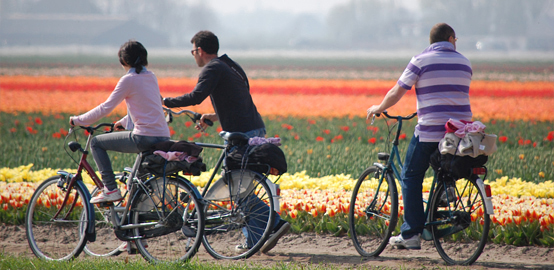 Exploring the Netherlands by Bike