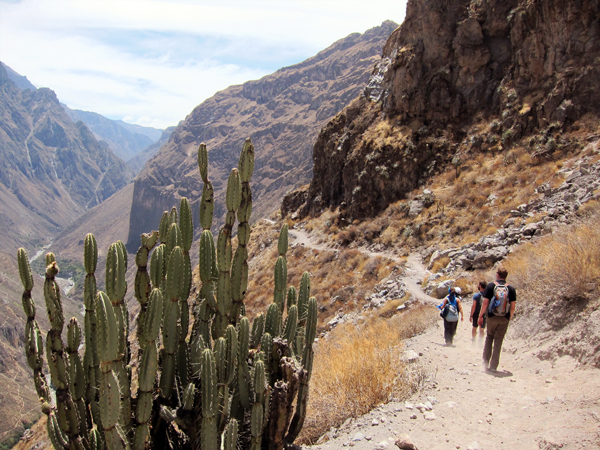 Trekking the Colca Canyon outside Arequipa, Peru