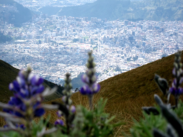 Quito Ecuador from Above