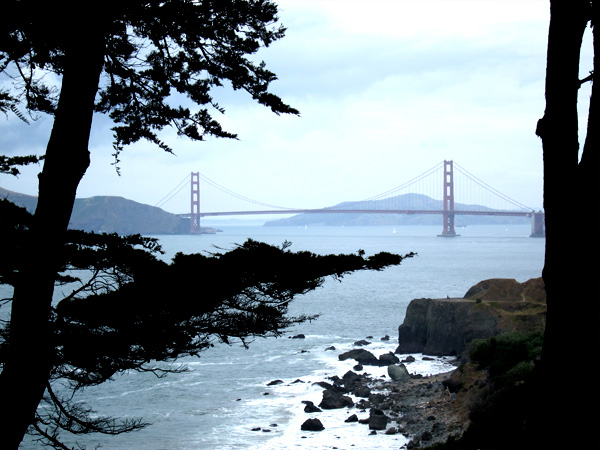 Golden Gate Bridge from Golden Gate Park