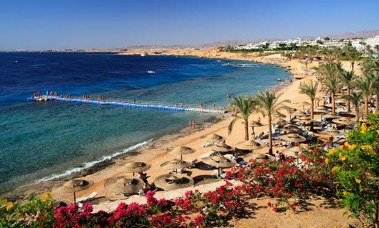 Vacation Destinations in Sharm El Sheik