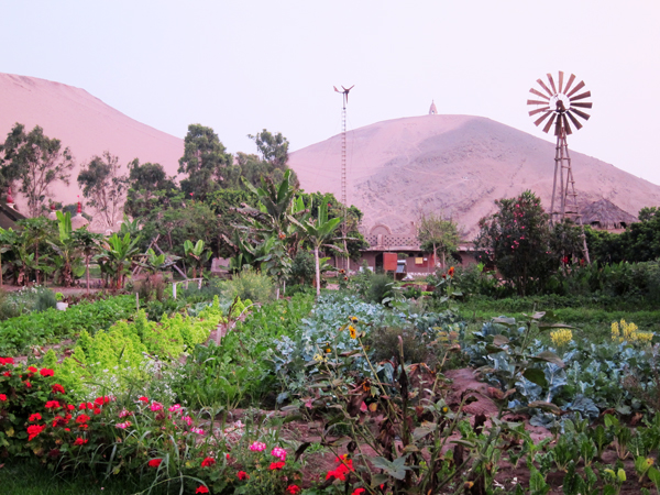 Eco Truly Park - Hare Krishna Community - Chancay Lima Peru