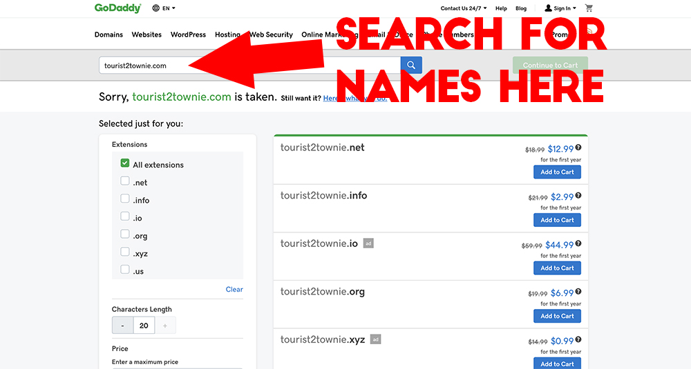 How to start a blog - domain search