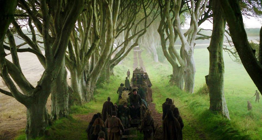 Ireland Road Trip - Game of Thrones Kingsroad Scene - Dark Hedges