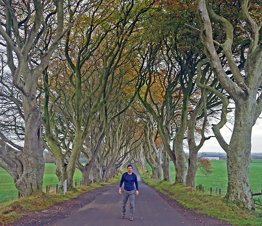 Things to do in Ireland - The Dark Hedges