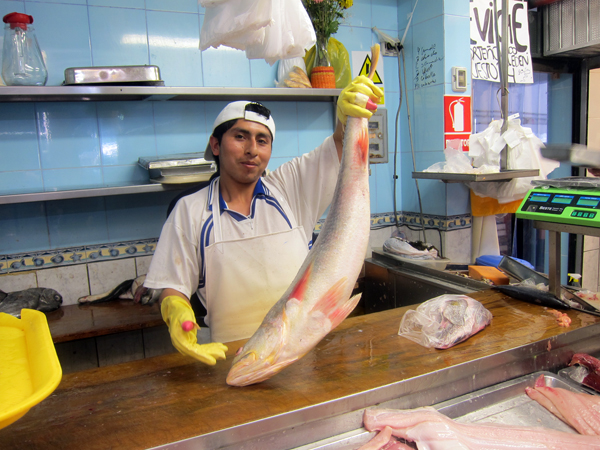 Fresh Seafood in Lima Peru