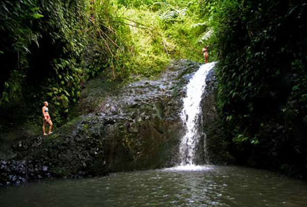 Maunawili Falls Trail, Oahu