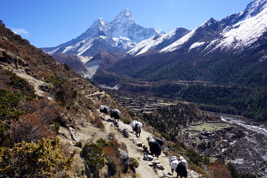Everest Base Camp Trek - Trail