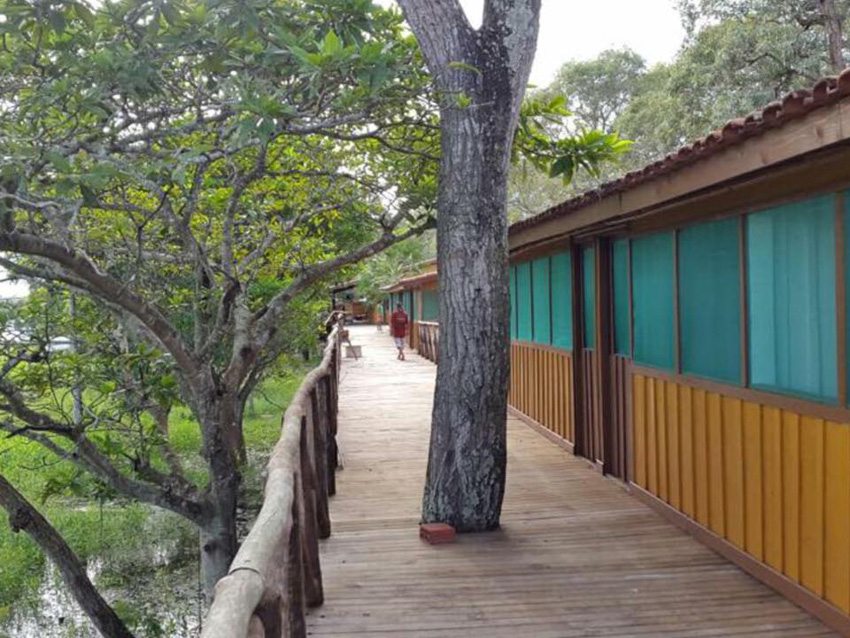 Pantanal Jungle Lodge