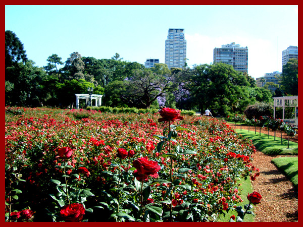 Spring time in Palermo, Buenos Aires, Argentina