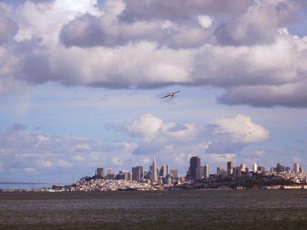 Pacific Coast Highway Road Trip - San Francisco View from Sausalito