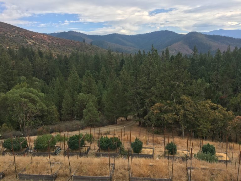 Things to do in Southern Oregon - Inspired Travelers
