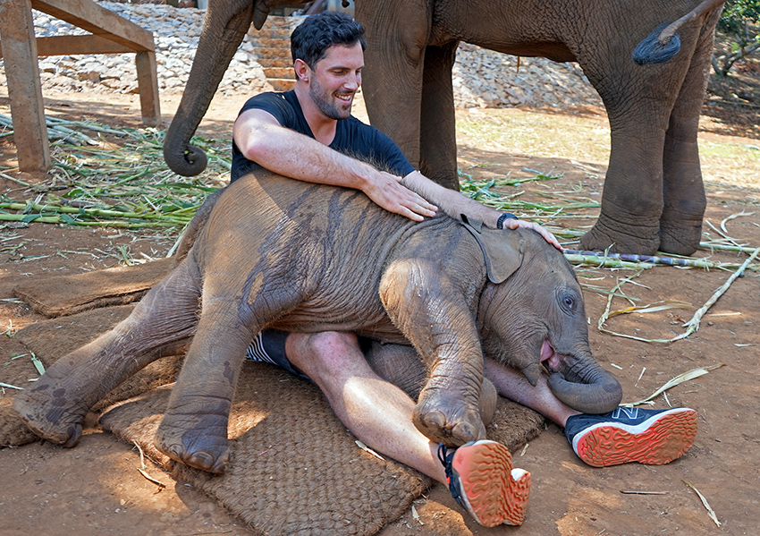 Thailand Elephant Experience