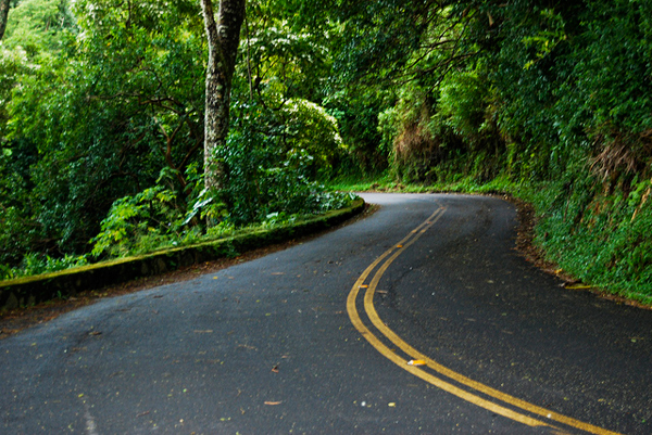 The Winding Roads of Tantalus (Puu Ohia), Oahu