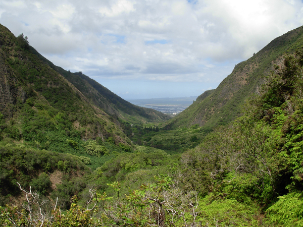 Runner's Guide to Hawaii - Rainforest of Iao, Hawaii