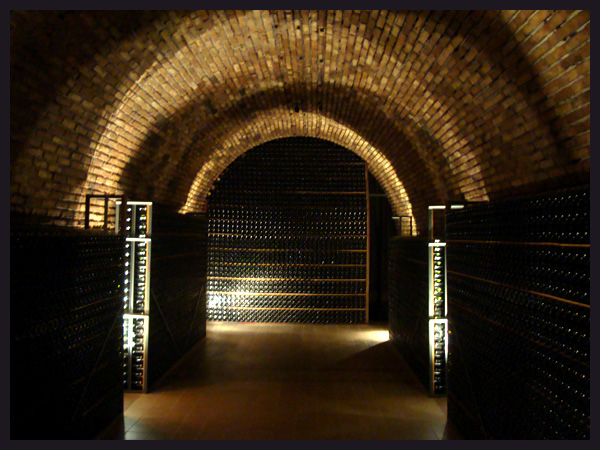 Wine Cellar in Mendoza, Argentina